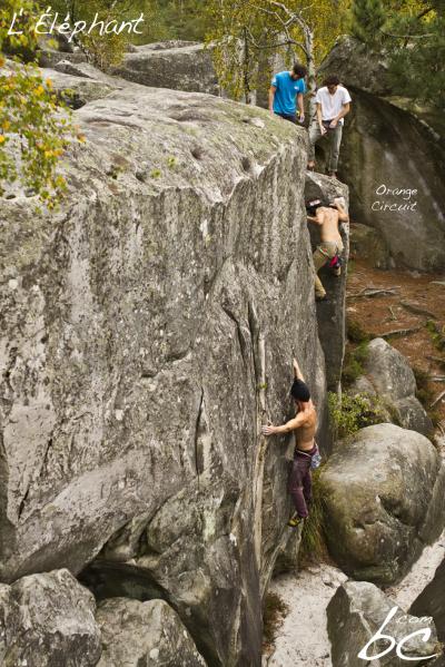 "Orange Circuit" (7)